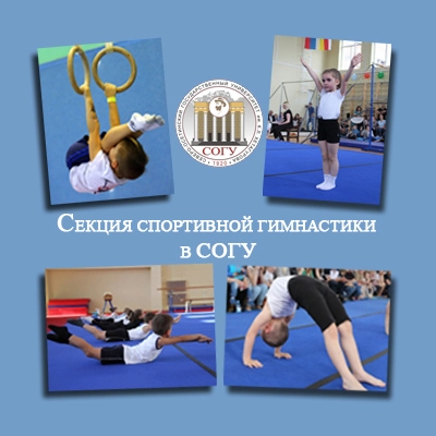 Секция спортивной гимнастики в СОГУ.